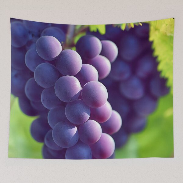 Item preview, Pinot Noir designed and sold by lapart.