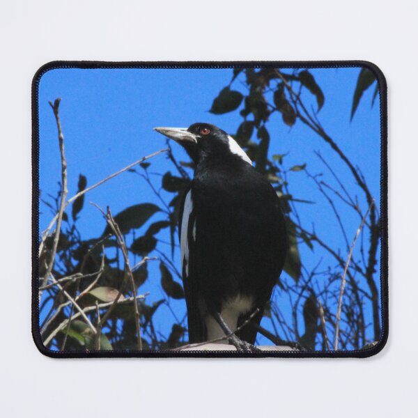 Item preview, Bright Eyed Black and White Bird designed and sold by KazM.