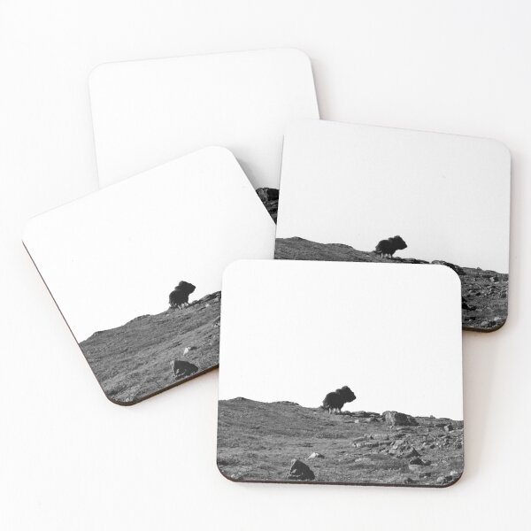 Item preview, Musk Boeur - muskox - Greenland - Greenland designed and sold by Emilie D.photo.