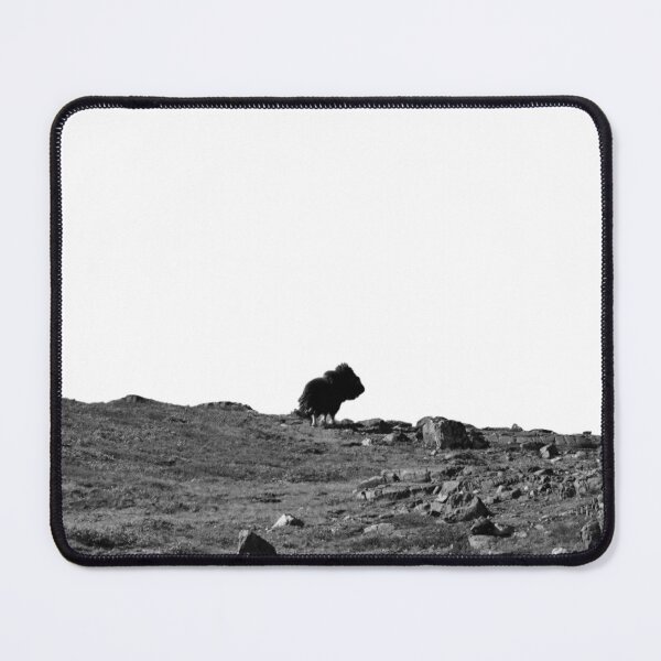 Item preview, Musk Boeur - muskox - Greenland - Greenland designed and sold by Emilie D.photo.