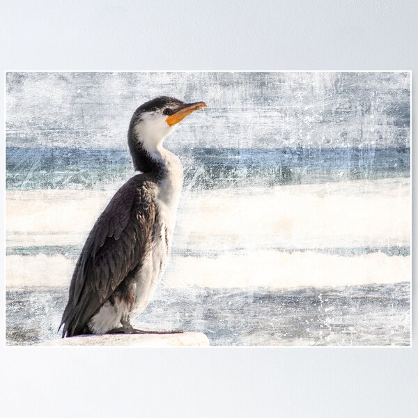 Item preview, Seabird designed and sold by Margi.