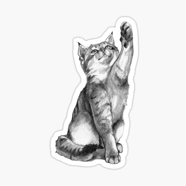 Kitten Sticker