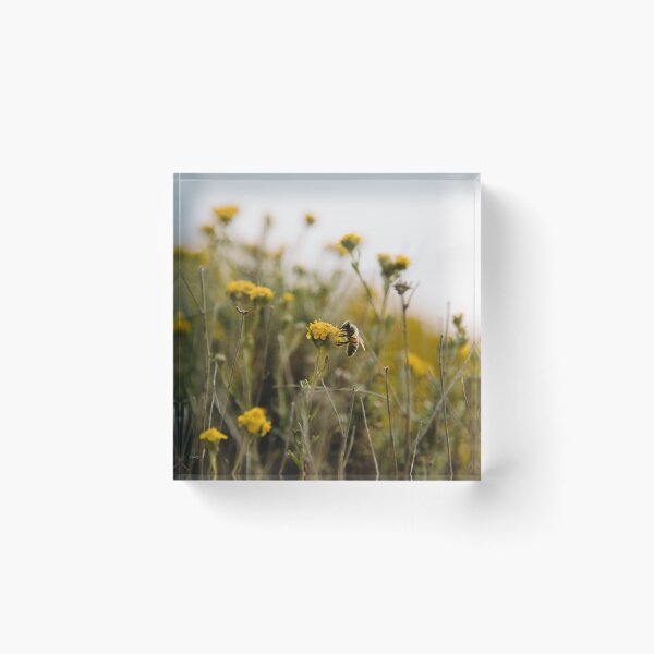Item preview, wild honey designed and sold by bellehibou.