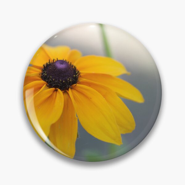 Item preview, Rudbeckia designed and sold by ASTRID EWING.