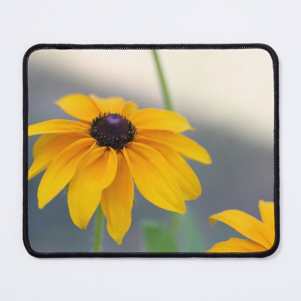 Item preview, Rudbeckia designed and sold by ASTRID EWING.