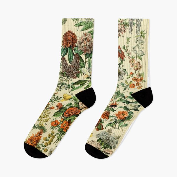 Item preview, Arte floral vintage botánico de Adolphe Millot designed and sold by LittleLemonx.