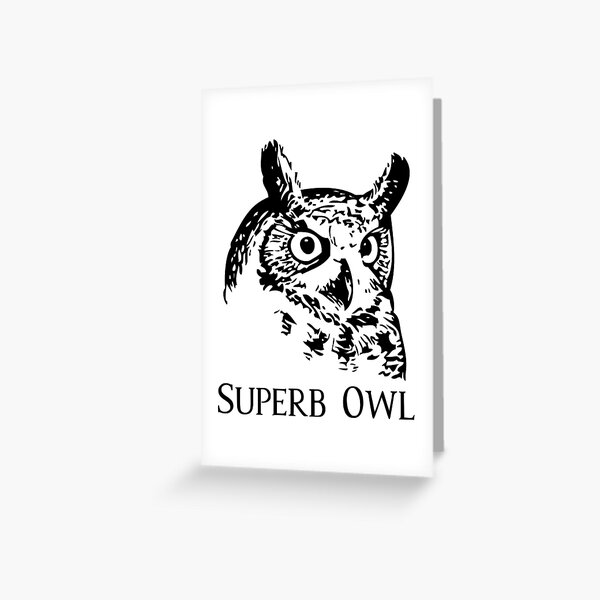 51 Superb Owls to Get You Through SuperBowl Sunday  Funny owls, Funny  animal memes, Funny animal jokes