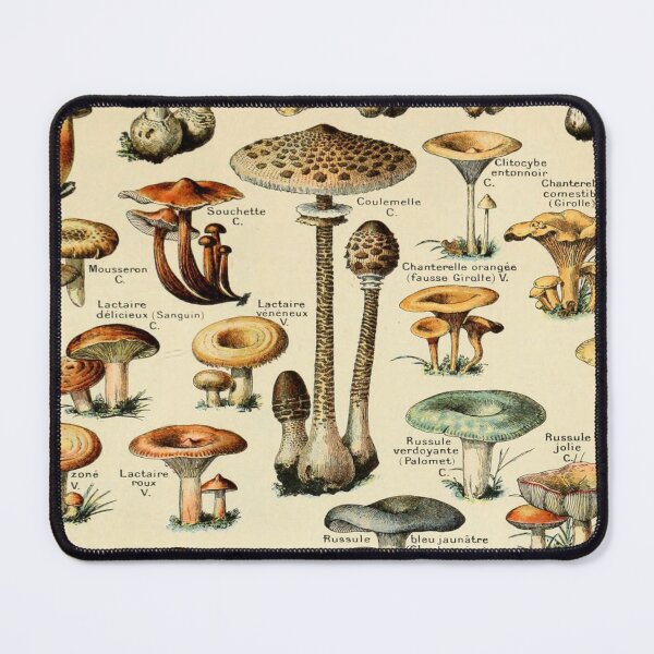 Item preview, Vintage Mushroom print by Adolphe Millot  designed and sold by LittleLemonx.