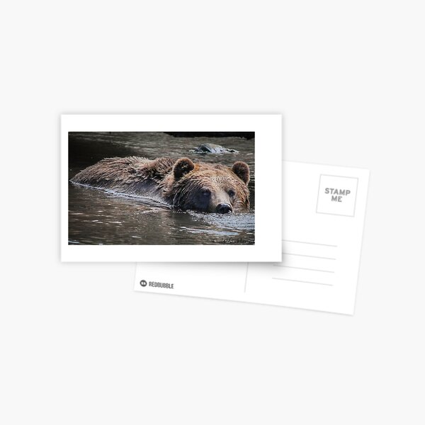 Item preview, Grouse Mountain Grizzly designed and sold by Marie  Cardona.