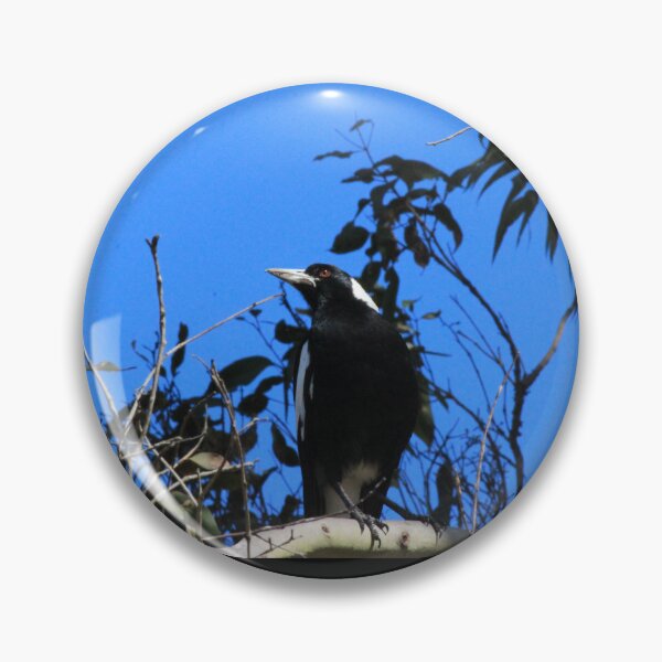 Item preview, Bright Eyed Black and White Bird designed and sold by KazM.