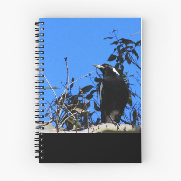 Item preview, Bright Eyed Black and White Bird designed and sold by KazM.