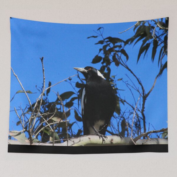 Item preview, Bright Eyed Black and White Bird designed and sold by KazM.