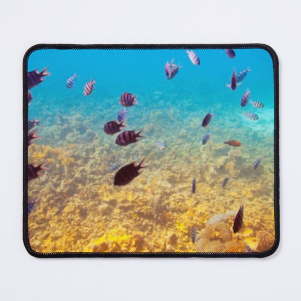 Item preview,    Cute colourful blue sea or ocean or blue water and fishes swimming design designed and sold by BEAUTY ⭐⭐⭐⭐⭐.