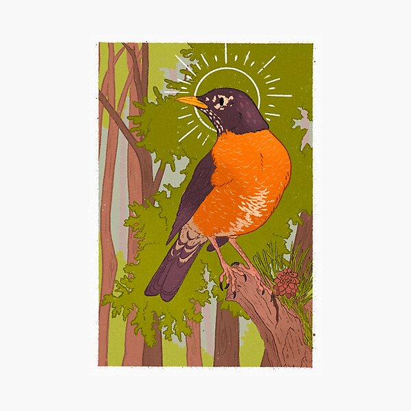 Item preview, American robin designed and sold by MrMackerel.