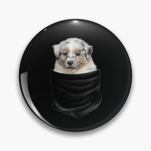 Item preview, (For Dark Background) Australian Shepherd In Pocket designed and sold by More Cute Dogs.
