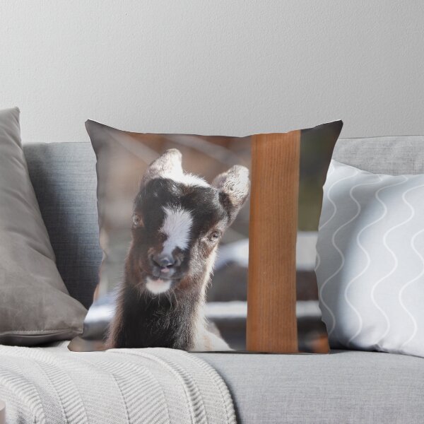Item preview, smilin goat designed and sold by Amanda Huggins.