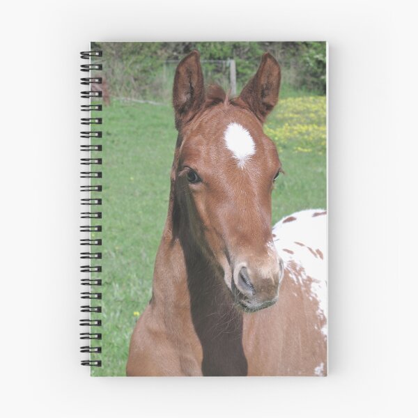 Item preview, Skyhorse Colida's Legacy designed and sold by Skyhorse.