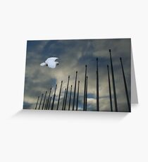 White Penon Greeting Card
