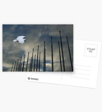 White Penon Postcards