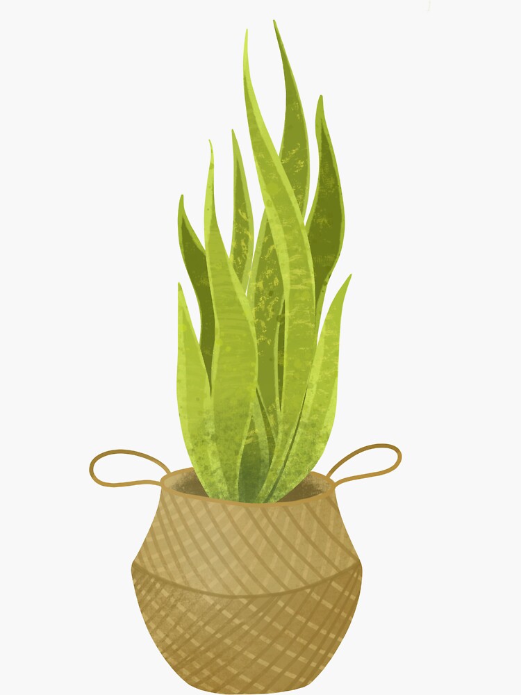 "Potted plant, in a basket, handdrawn, vector illustration" Sticker