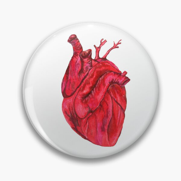 Item preview, Human anatomical heart, vector illustration drawn by hand designed and sold by Verchikowl.