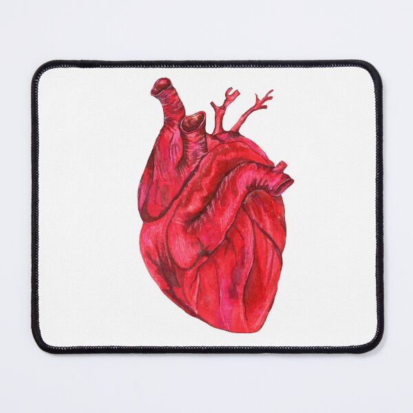 Item preview, Human anatomical heart, vector illustration drawn by hand designed and sold by Verchikowl.
