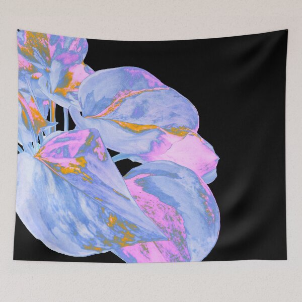 Item preview, Epipremnum Aureum Manjula (Money Plant) designed and sold by plantsbutbetter.
