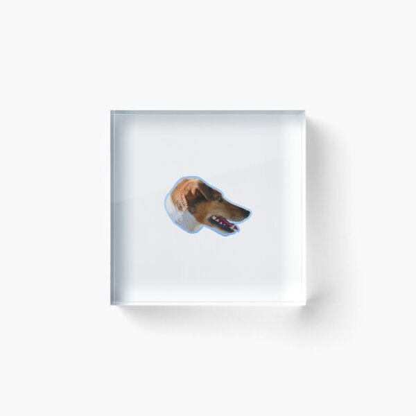 Item preview, Dog meme sticker | funny dog head t-shirt  designed and sold by KARTICK DUTTA.