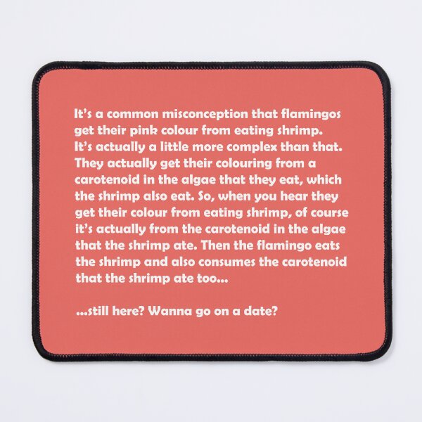 Item preview, Zookeeper dating - flamingo facts designed and sold by GeoCreate.