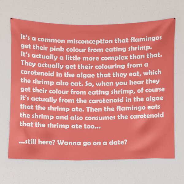 Item preview, Zookeeper dating - flamingo facts designed and sold by GeoCreate.
