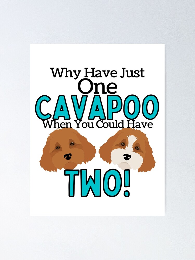 Thumbnail 1 of 3, Poster, Why Have Just One Cavapoo designed and sold by SherlocksStore.