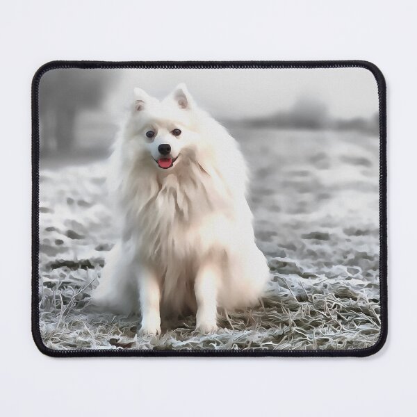 Item preview, American Eskimo Dog (Painting) designed and sold by cmphotographs.