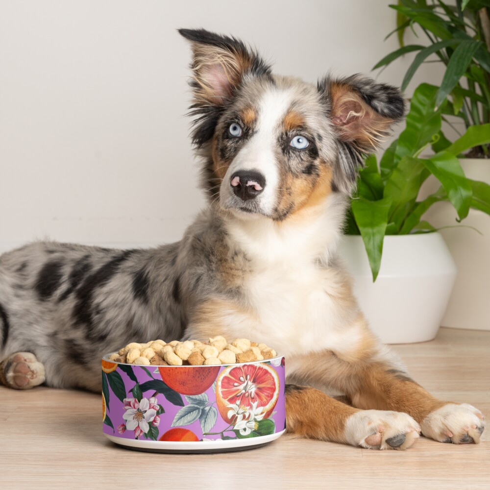 Vintage Fruit Pattern X Pet Bowl