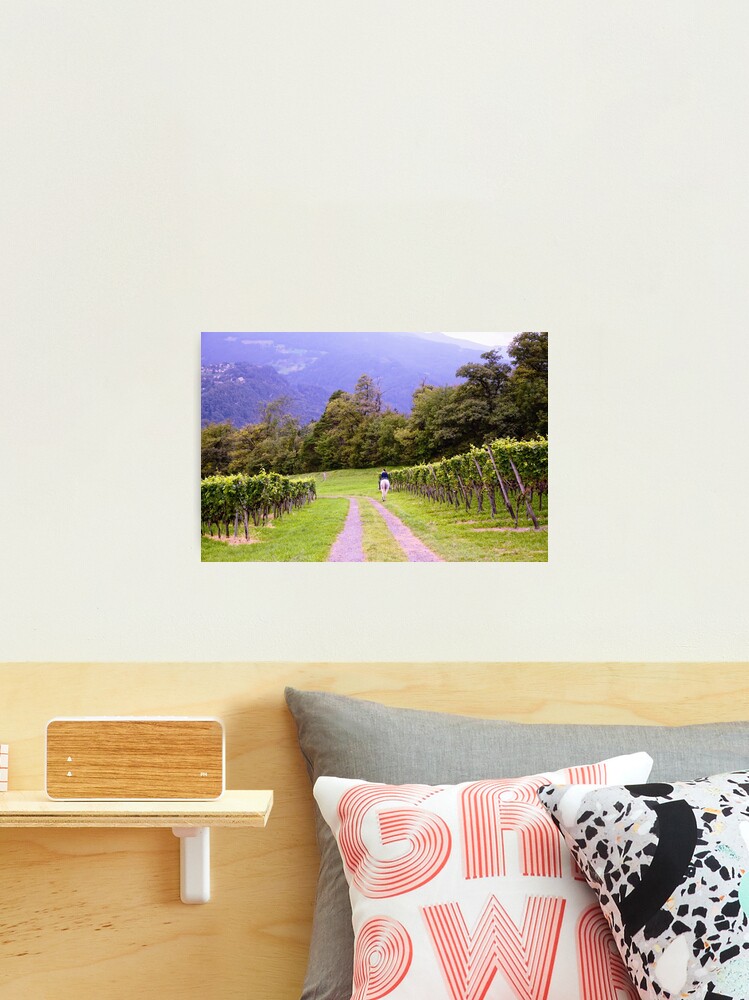 Thumbnail 2 of 3, Photographic Print, Vineyard and Rider designed and sold by Mallorn.