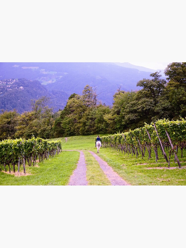 Thumbnail 3 of 3, Photographic Print, Vineyard and Rider designed and sold by Mallorn.