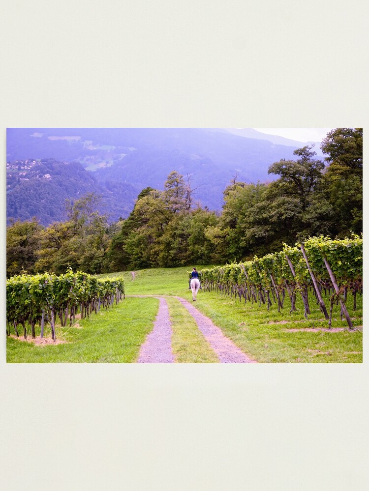 Thumbnail 1 of 3, Photographic Print, Vineyard and Rider designed and sold by Mallorn.