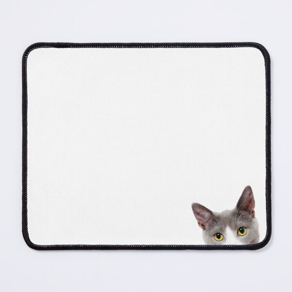 Item preview, A beautiful grey and white kitten designed and sold by cmphotographs.