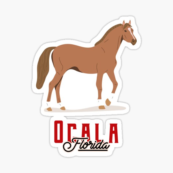 Item preview, Ocala - Florida designed and sold by nona003.