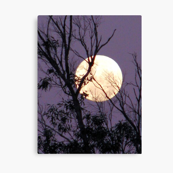 Moon in Gemini Canvas Print