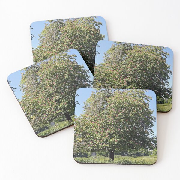Item preview, Horse Chestnut Tree designed and sold by pinkal.