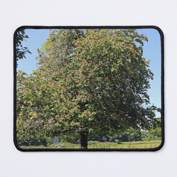 Item preview, Horse Chestnut Tree designed and sold by pinkal.