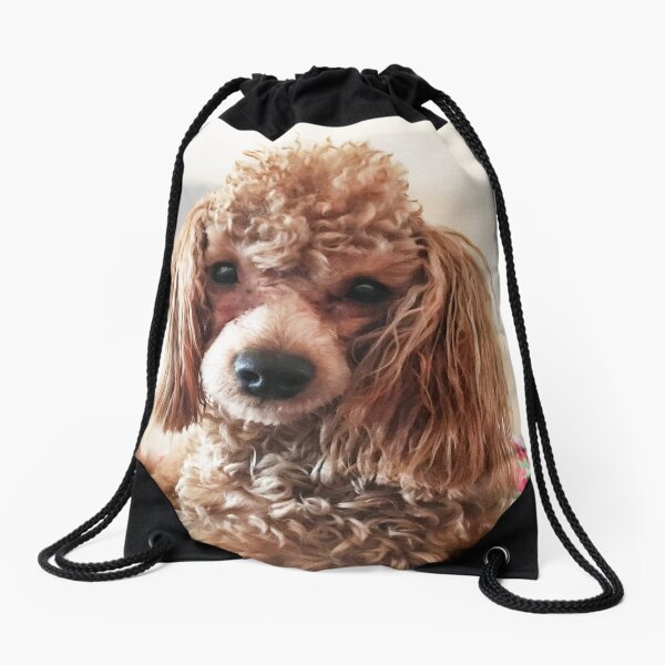 Raffie Drawstring Bag