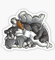 Miniature Schnauzer - sleeping pile Sticker