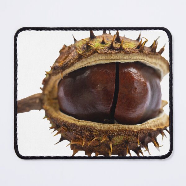 Item preview, < prickly chestnut designed and sold by Ingo Gerlach.