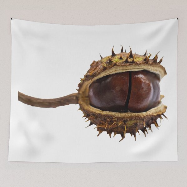 Item preview, < prickly chestnut designed and sold by Ingo Gerlach.