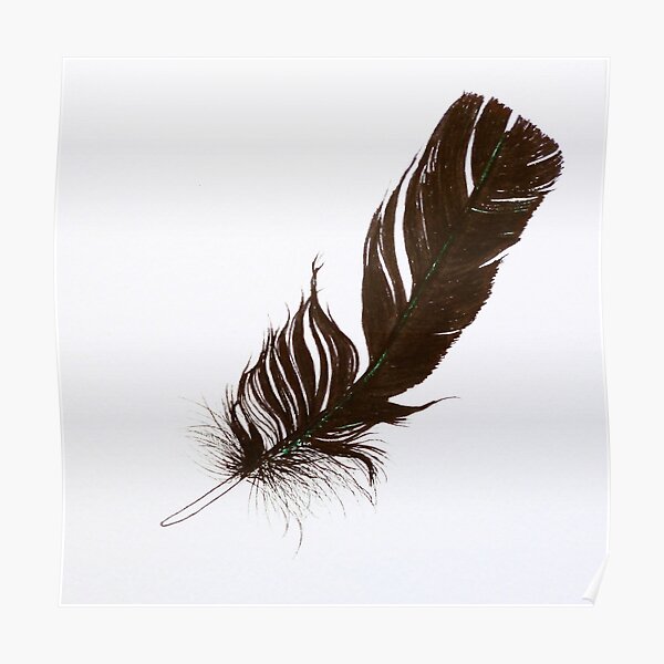 Black Feather Poster
