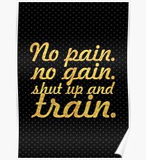No pain no gain... Gym Motivational Quote Poster