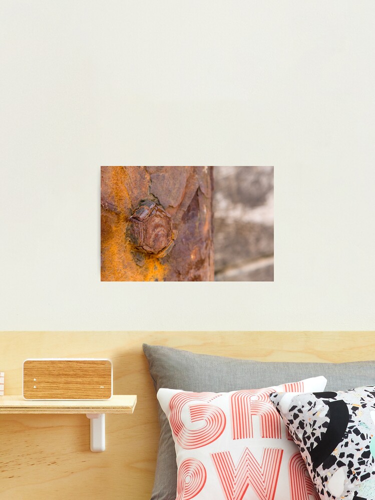 Thumbnail 2 of 3, Photographic Print, rusty bolt designed and sold by GDPhotos.