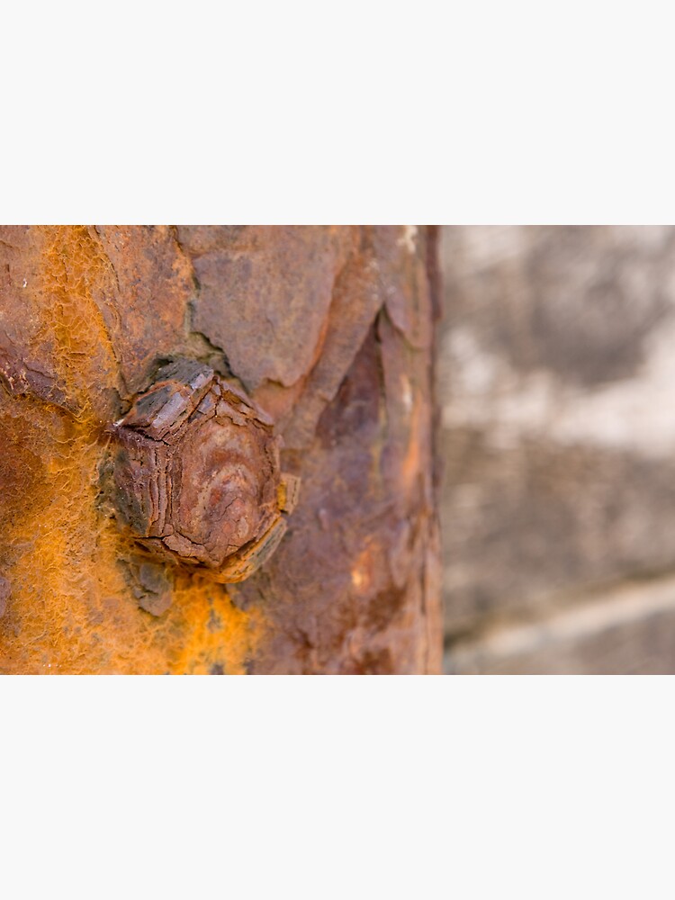 Thumbnail 3 of 3, Photographic Print, rusty bolt designed and sold by GDPhotos.