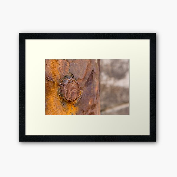 rusty bolt Framed Art Print